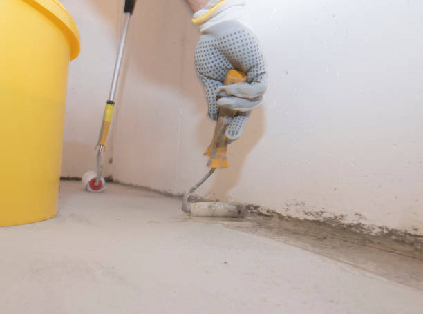 Best Fumigation Services  in Pine Hill, NJ